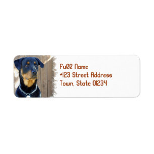 Étiquette de adresse de retour de chien de