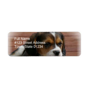 Étiquette de adresse de retour de chiot de beagle