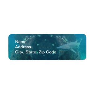 Étiquette de adresse de retour de requin