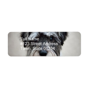 Étiquette de adresse de retour de Schnauzer