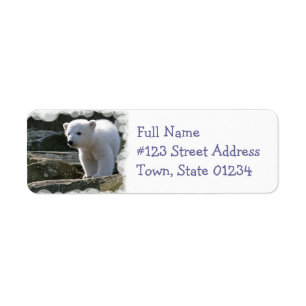 Étiquette de adresse de retour d'ours blanc de