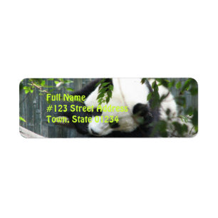 Étiquette de adresse de retour d'ours panda