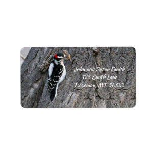 Étiquette de adresse Downy Woodpecker