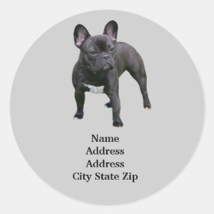 Étiquette de adresse français de Bulldog