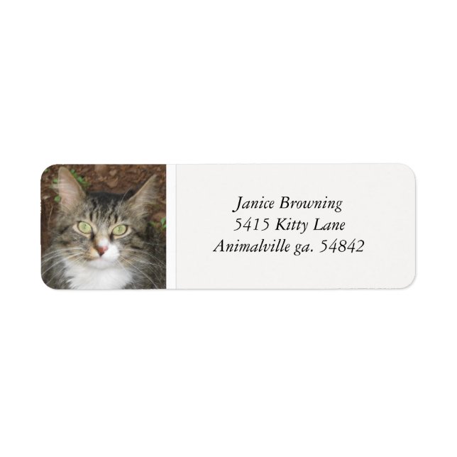 Étiquette de adresse Kitty Cat (Devant)