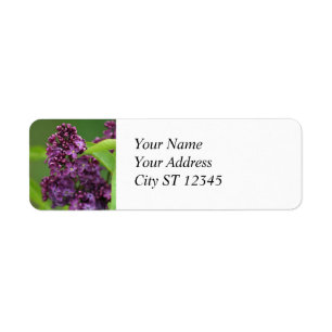 Étiquette de adresse Lilac pourpre