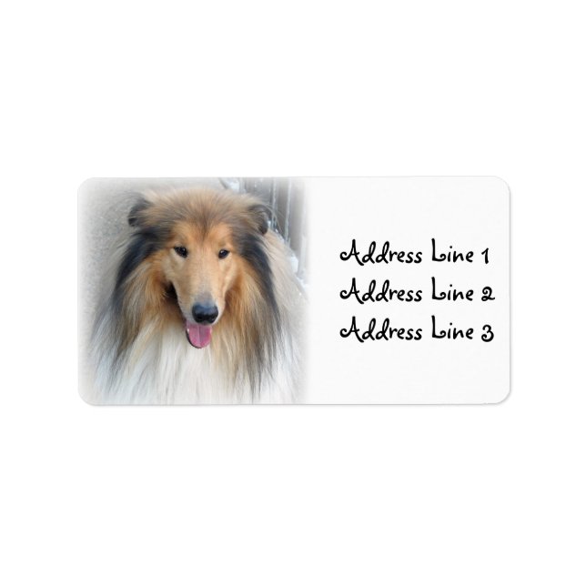 Étiquette de adresse photo Collie (Devant)