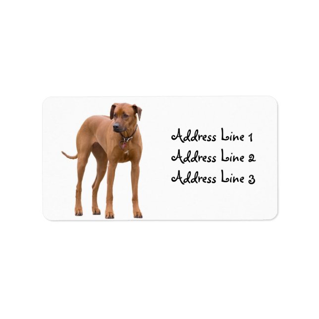 Étiquette de adresse photo Rhodesian Ridgeback Dog (Devant)
