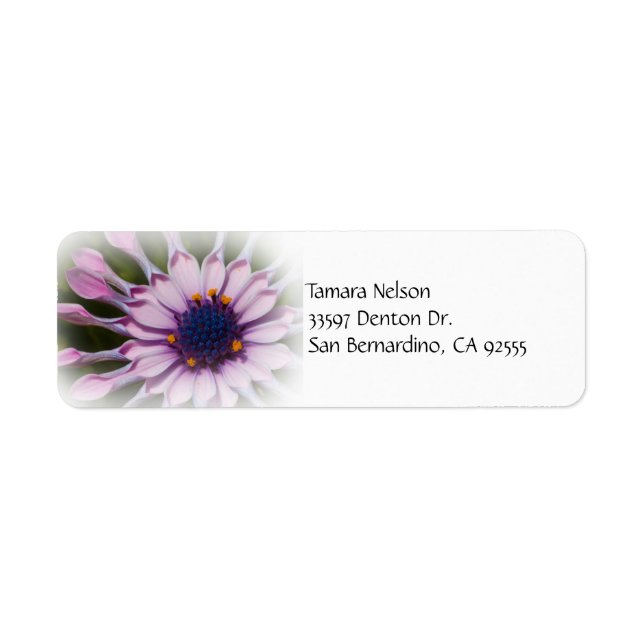 Étiquette de adresse Rose Daisy (Devant)
