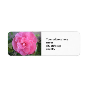 Étiquette de adresse rose de retour de fleur de