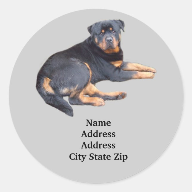 Étiquette de adresse Rottweiler (Devant)