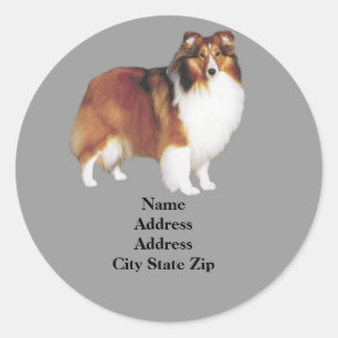Étiquette de adresse Sheltie
