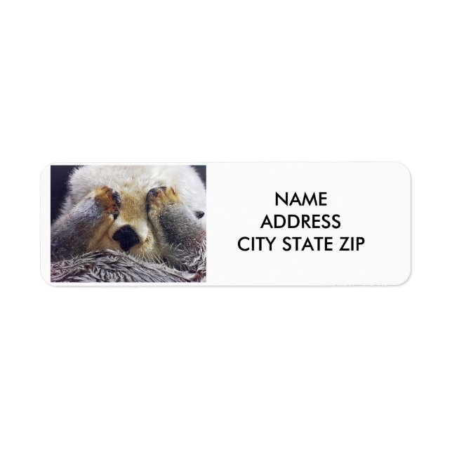 étiquette de adresse "SHY OTTER" (Devant)