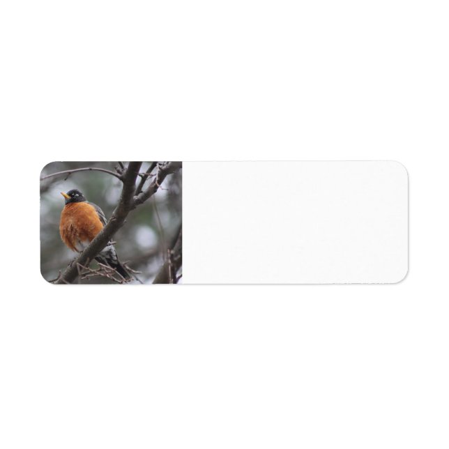 Étiquette de adresse Spring Robin (Devant)