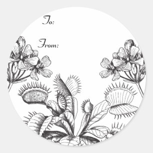 Étiquette de cadeau d'attrape-mouche de Vénus