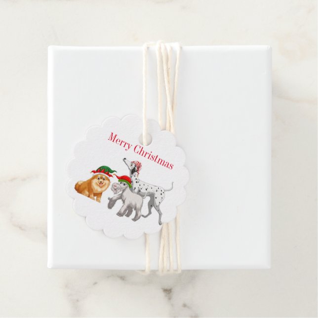 Étiquette de cadeau de Noël (En situation)