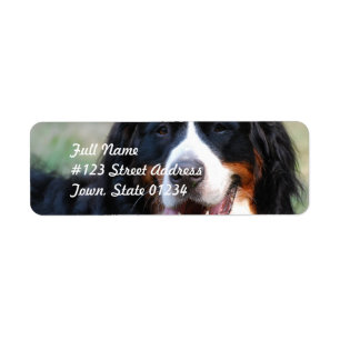 Étiquette de chien de montagne de Bernese