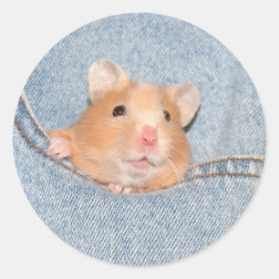 Étiquette de hamster de poche