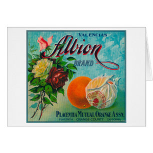 Étiquette de la marque Albion Citrus Crate