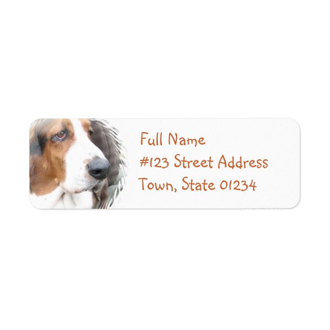 Étiquette de l'adresse de retour Basset Hound (Devant)