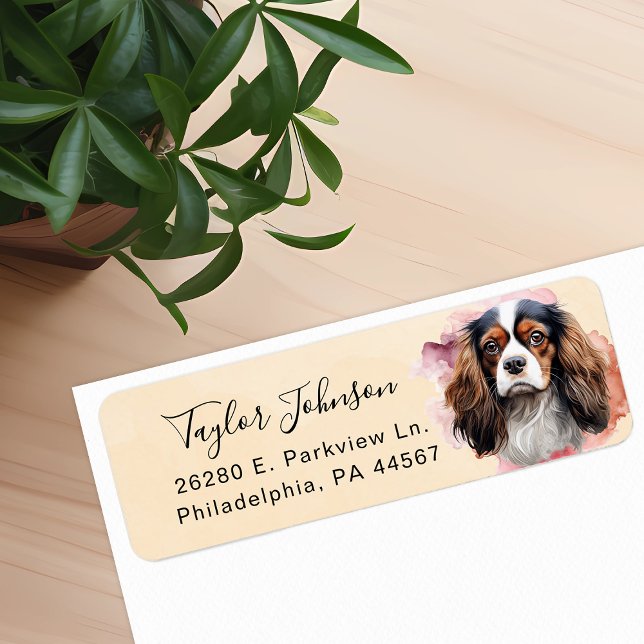 Étiquette de l'adresse de retour Cavalier King Cha (Créateur téléchargé)