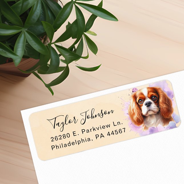 Étiquette de l'adresse de retour Cavalier King Cha (Créateur téléchargé)