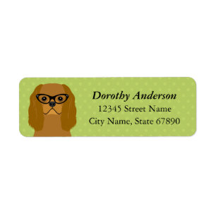 Étiquette de l'adresse de retour Cavalier King Cha
