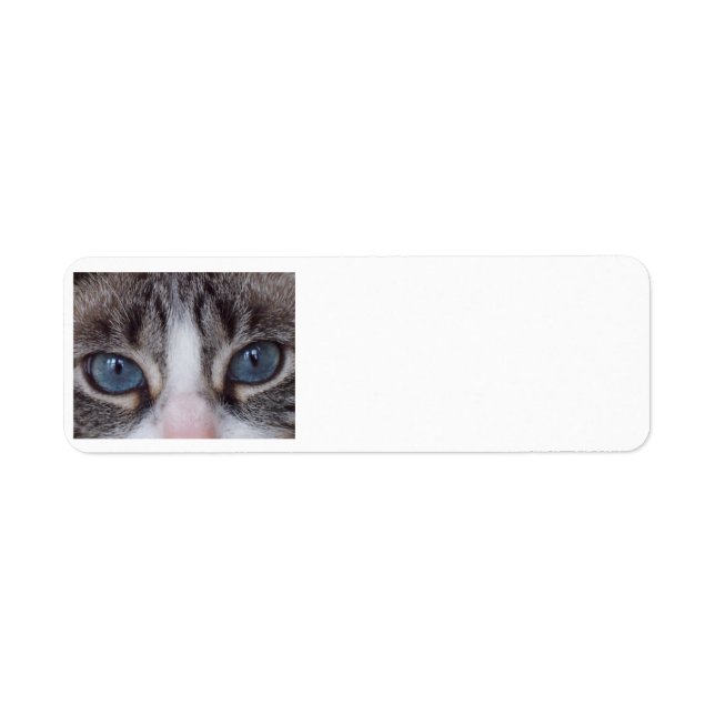 Étiquette de l'adresse de retour de chat - yeux bl (Devant)