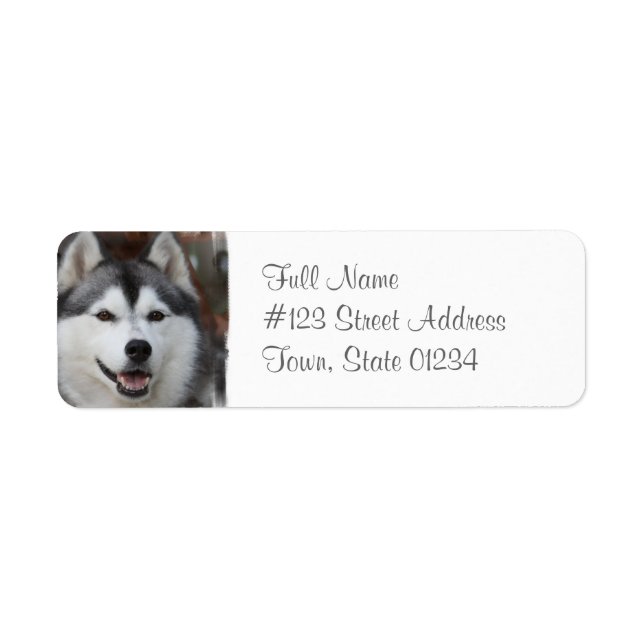 Étiquette de l'adresse de retour de chien Husky (Devant)