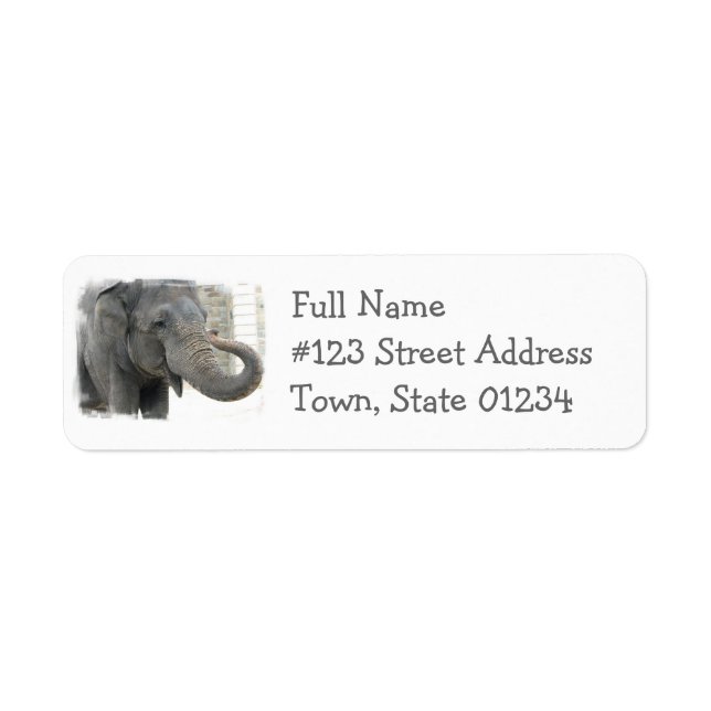 Étiquette de l'adresse de retour de l'éléphant tro (Devant)