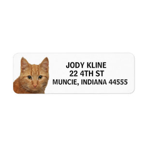 Étiquette de l'adresse de retour du CAT GINGER