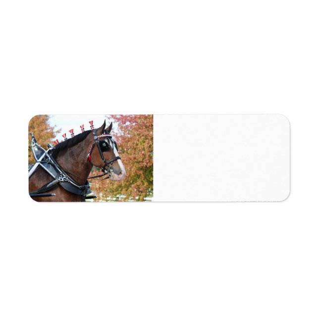 Étiquette de l'adresse de retour du cheval Clydesd (Devant)