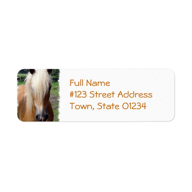 Étiquette de l'adresse de retour du cheval Palomin (Devant)