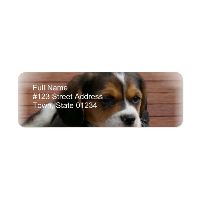 Étiquette de l'adresse de retour du chien beagle (Devant)