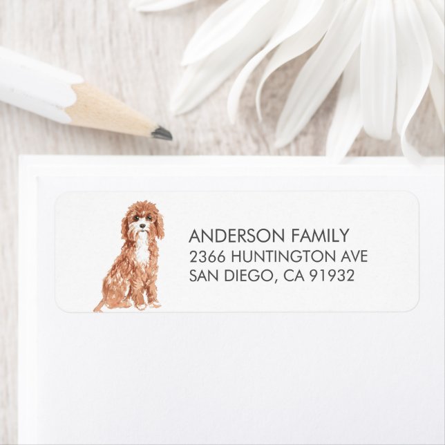 Étiquette de l'adresse de retour du chien Cavapoo (En situation)