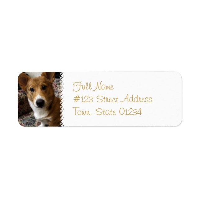Étiquette de l'adresse de retour du chien de Pembr (Devant)