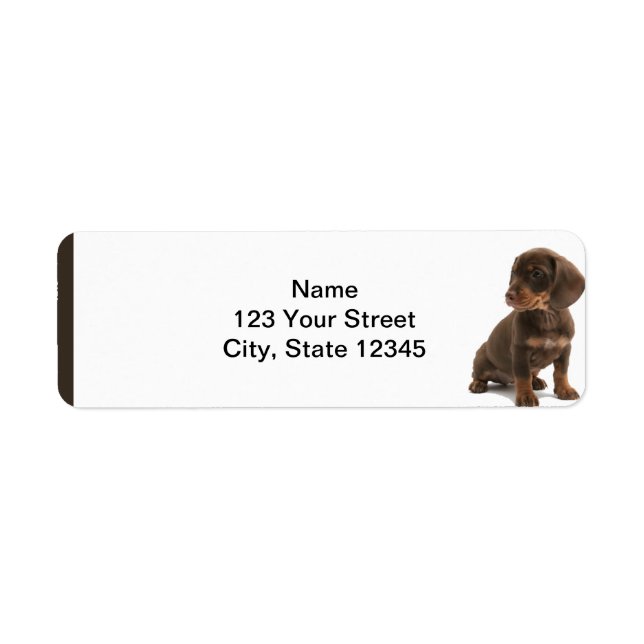 Étiquette de l'adresse de retour du chiot Brown Da (Devant)