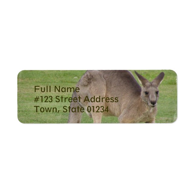 Étiquette de messagerie Kangaroo (Devant)