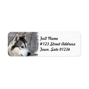 Étiquette de messagerie pour chien de malamute