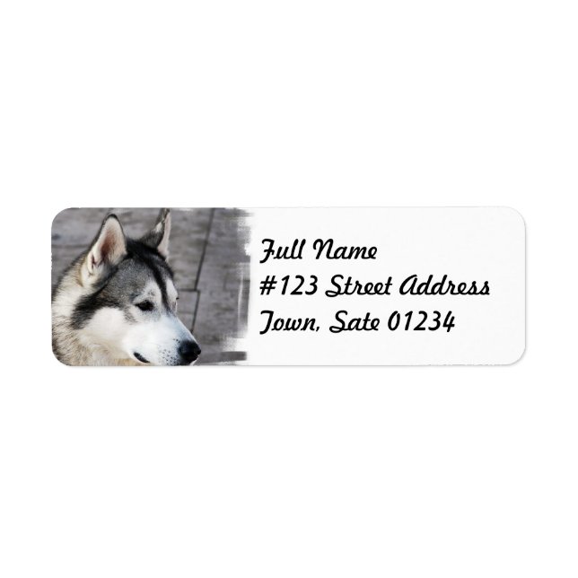 Étiquette de messagerie pour chien de malamute (Devant)