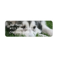 Étiquette de messagerie pour chien Husky Sleeping