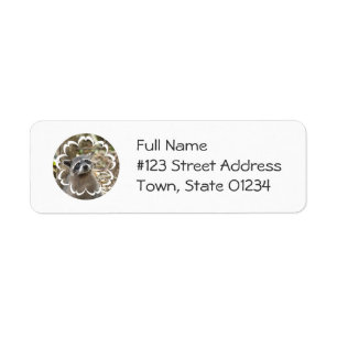 Étiquette de messagerie raccoon masqué