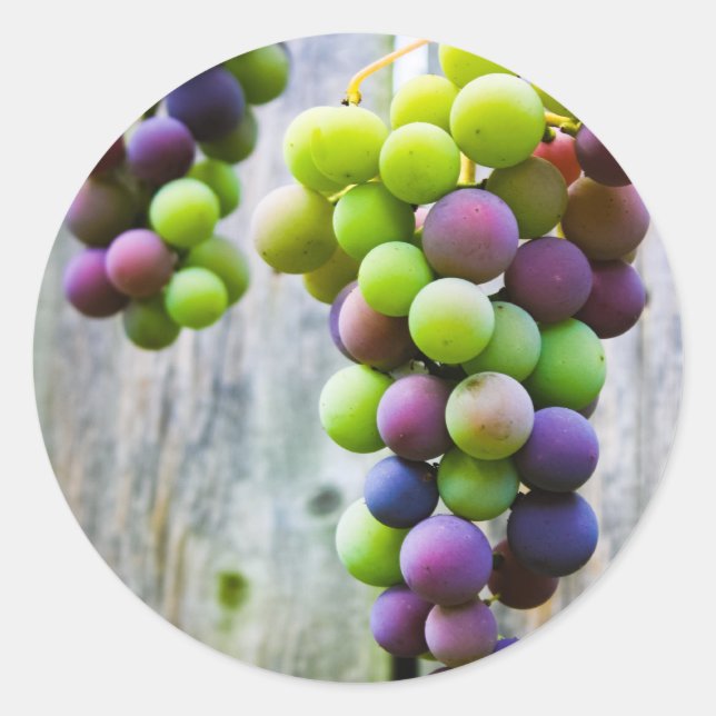 étiquette de mise en conserve de la gelée de raisi (Devant)