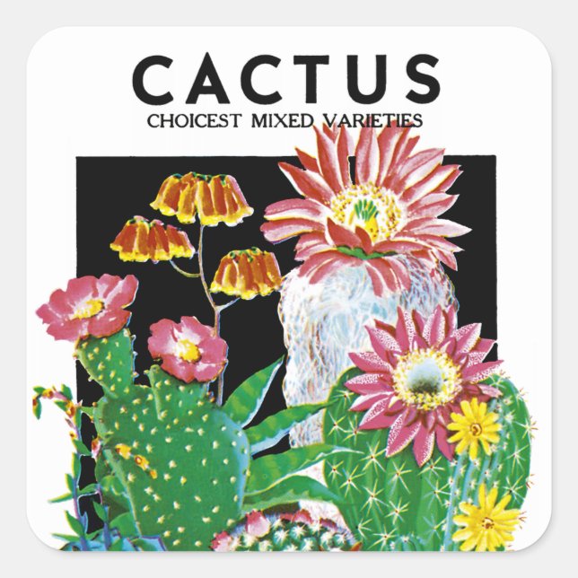Étiquette de paquets de semences Cactus (Devant)
