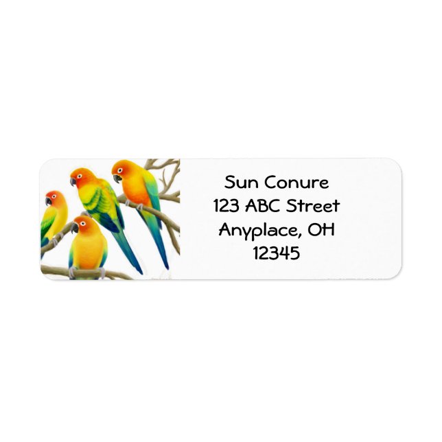 Étiquette de perroquets Sun Conure (Devant)