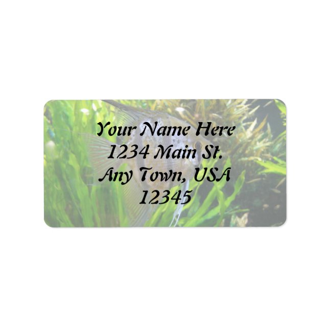 Étiquette de poisson ange (Devant)