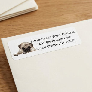 Étiquette de retour d'adresse de chien Carlin aqua