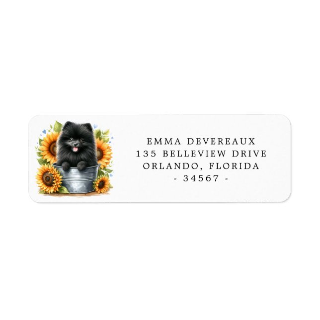 Étiquette de retour des tournesols de Poméranie No (Devant)