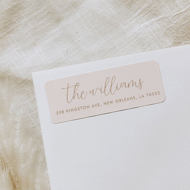 Étiquette de retour d'un script moderne rose vif (Blush pink script family name return address labels.)