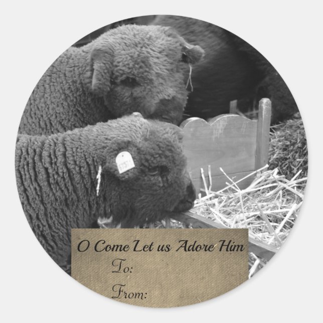 Étiquette des agneaux de Noël (Devant)